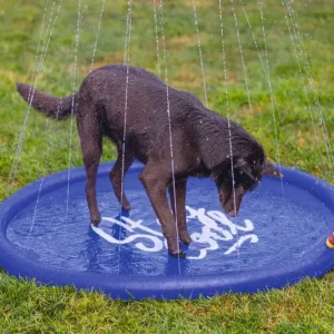 Beeztees Honden Sprinkler Mat Stay Cool 130x130x5 cm